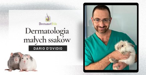 okrągły obraz strony głównej