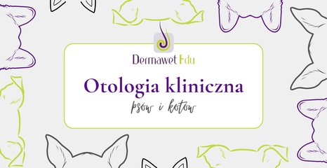 obraz szkolenia