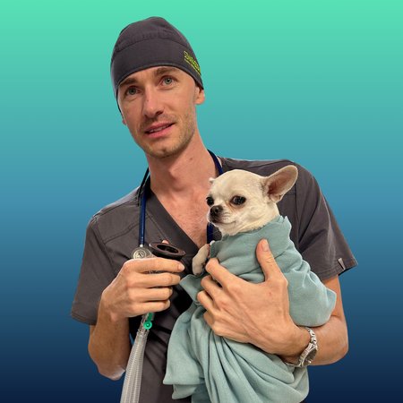 okrągły obraz prowadzącego